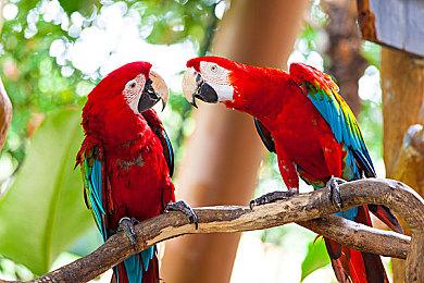 守望先锋归来生命之梭技能介绍，守望先锋2生命编织者技能连招怎么用？